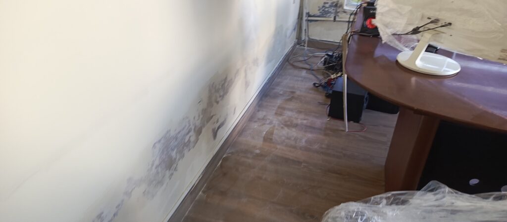 PINTURA INTERIOR-MANTENIMIENTO DE OFICINA-OBRA CIVIL-IMPERMEABILIZACION