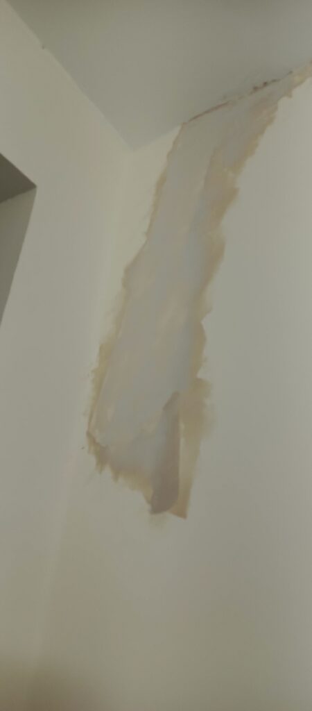 PINTURA INTERIOR-MANTENIMIENTO DE OFICINA-OBRA CIVIL-IMPERMEABILIZACION
