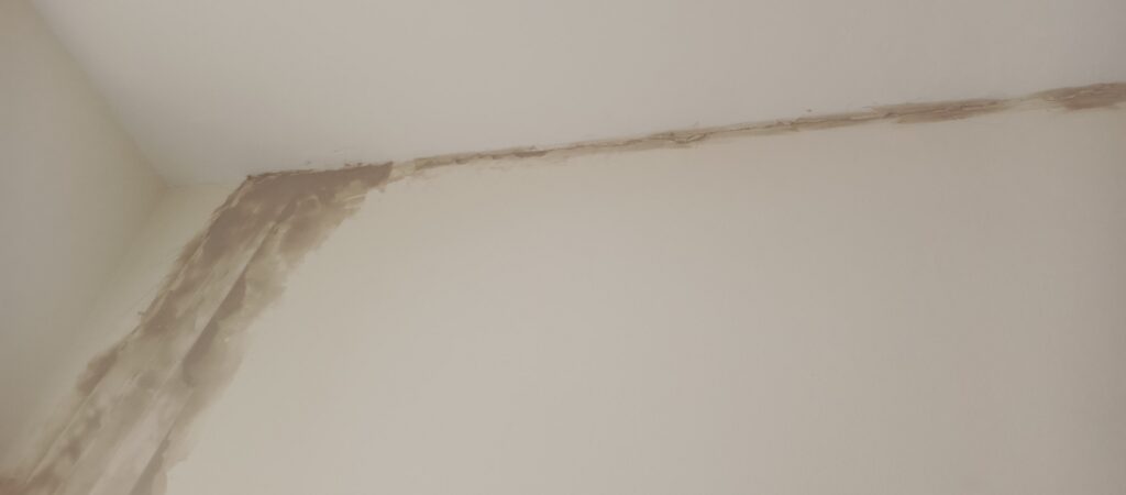PINTURA INTERIOR-MANTENIMIENTO DE OFICINA-OBRA CIVIL-IMPERMEABILIZACION